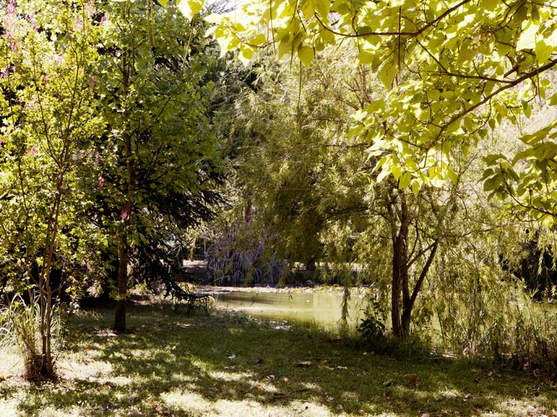 Domaine du Petit Malherbes - Eurotel_30470 AIMARGUES_8 Domaine du Petit Malherbes - Eurotel_30470 AIMARGUES_8